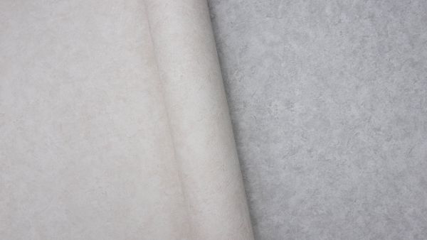 Liana 250723