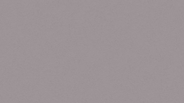 Rose 251508