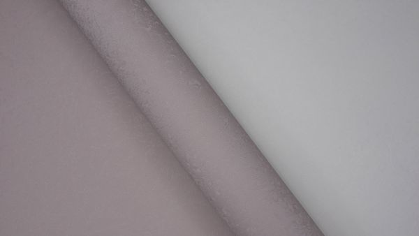 Rose 251508