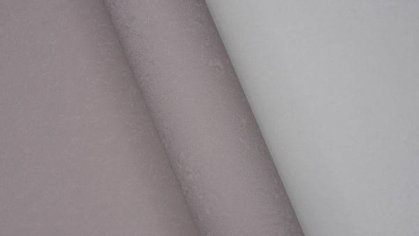 Rose 251508