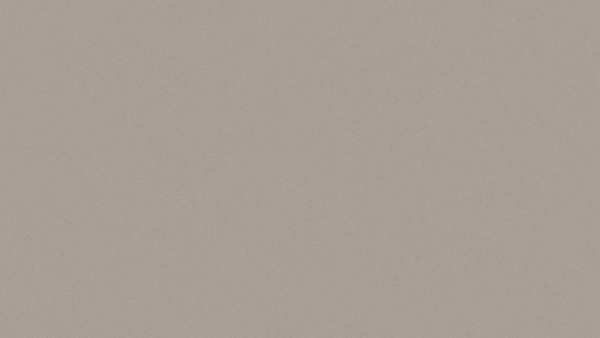 Rose 251522
