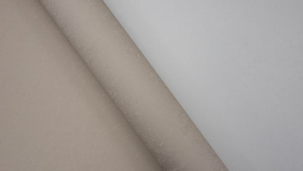 Rose 251522
