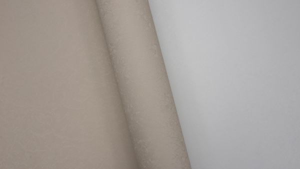 Rose 251522
