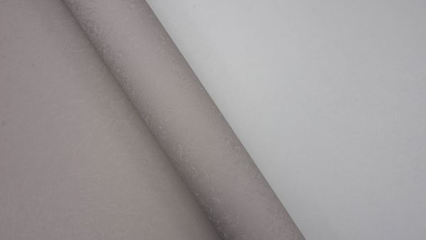 Rose 251539