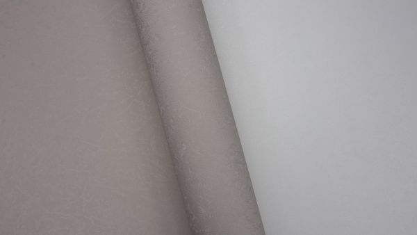 Rose 251539