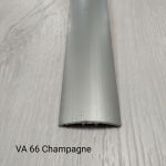 Пороги Va66 Champagne