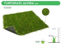 ALVIRA 4m MAR (PO) 6146 LIME 27mm ALVIRA 4m MAR (PO) 6146 LIME 27mm