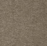 OMNIA ( SANDSTORM 33 ) 3M