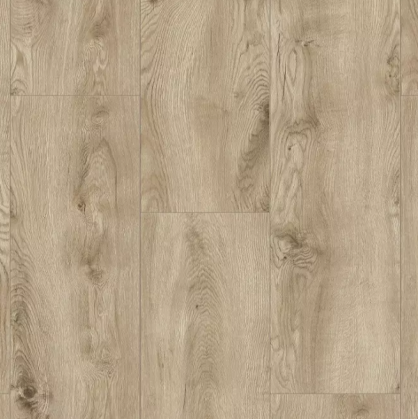 SPC R110 Flamenco Oak (4 мм/32 класс)