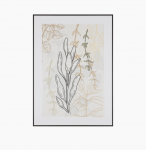 Графика MEADOW I 50X70 RAMA ALU.CZAR. 6065341