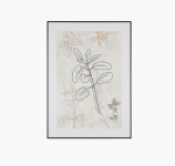 Графика MEADOW II 50X70 RAMA ALU.CZAR. 6065343