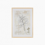Графика MEADOW III 50X70 RAMA DREWNIAN 6065348